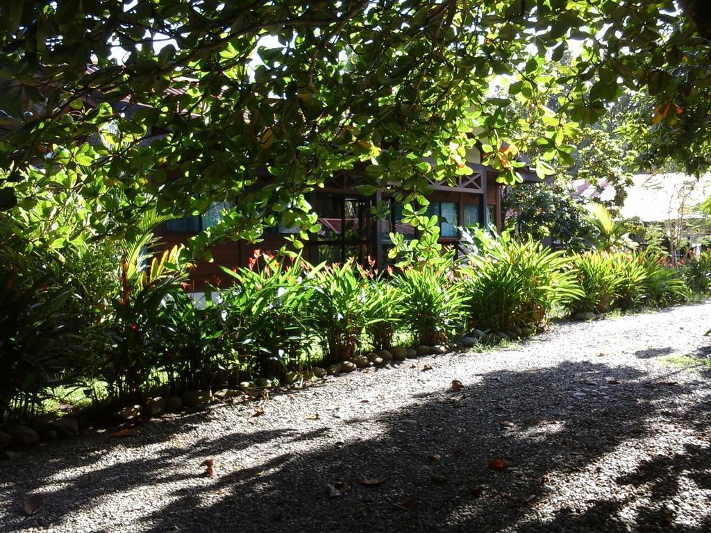 Kenaki Lodge Puerto Viejo de Talamanca Exteriör bild