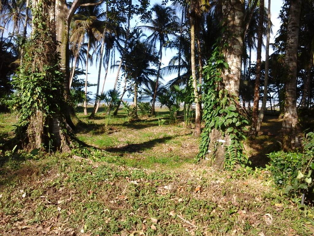Kenaki Lodge Puerto Viejo de Talamanca Exteriör bild