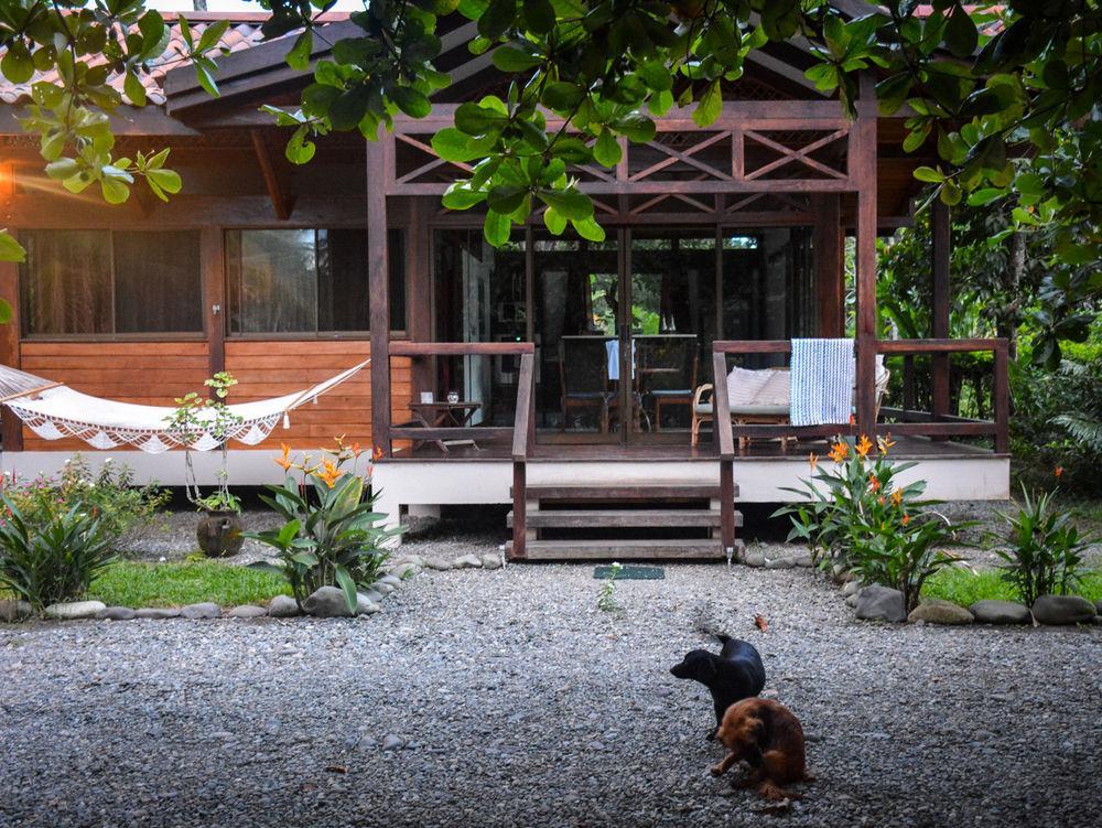 Kenaki Lodge Puerto Viejo de Talamanca Exteriör bild