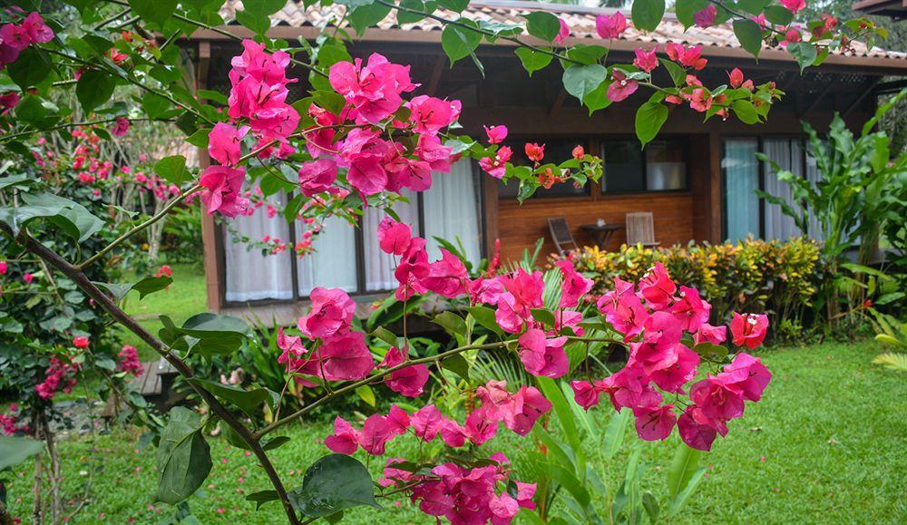 Kenaki Lodge Puerto Viejo de Talamanca Exteriör bild